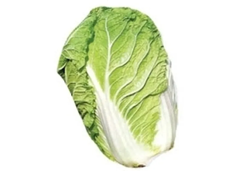 cavolo cinese