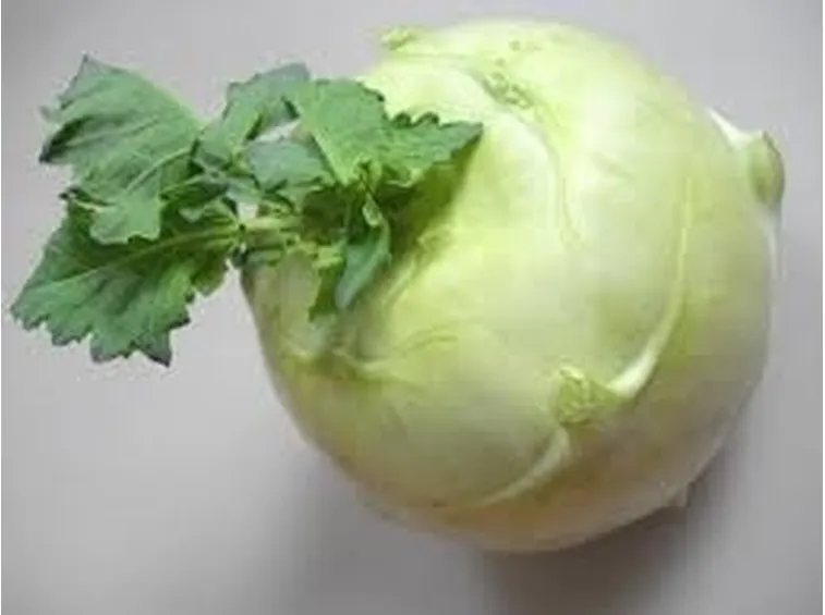 cavolo rapa