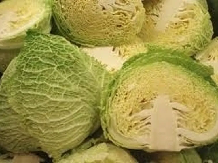 cavolo verza