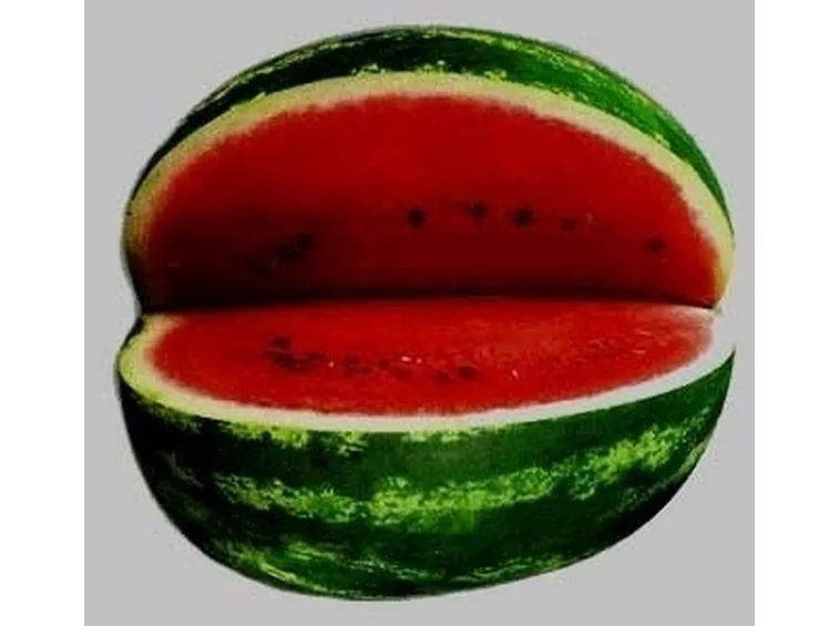 Anguria-4
