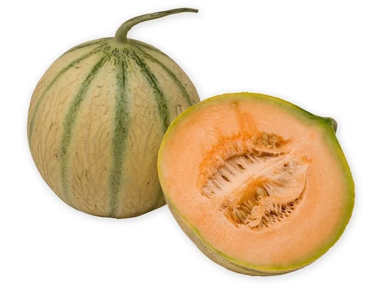 Benessere e salute: il melone a tavola