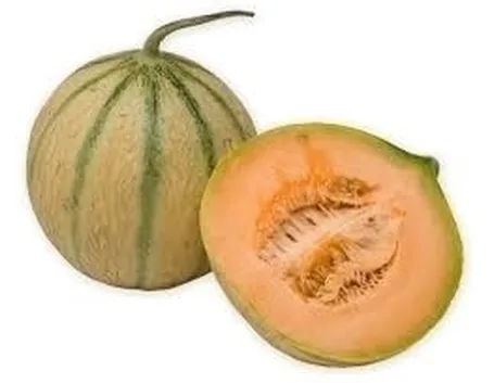 Caratteristiche e proprietà nutritive del melone