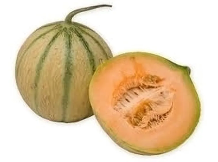Caratteristiche e proprietà nutritive del melone
