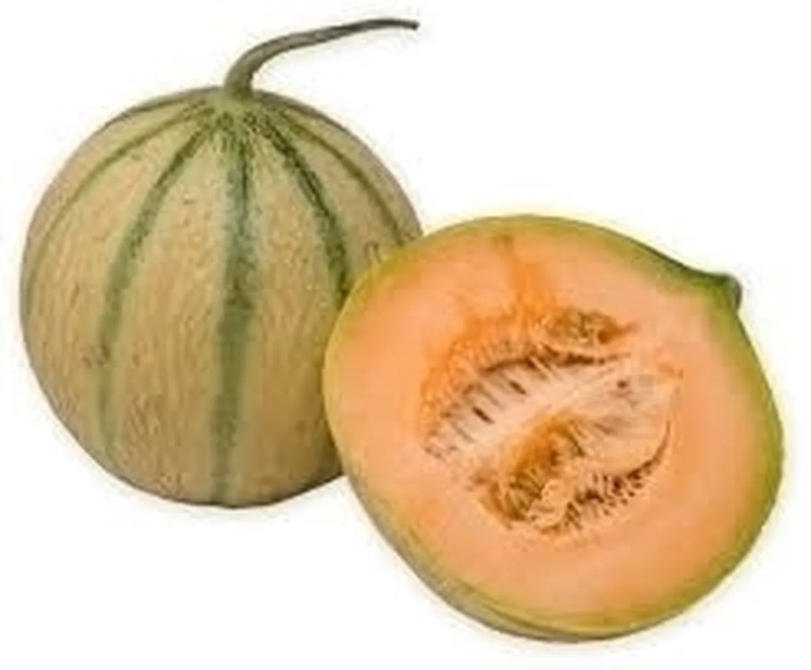 Caratteristiche e proprietà nutritive del melone