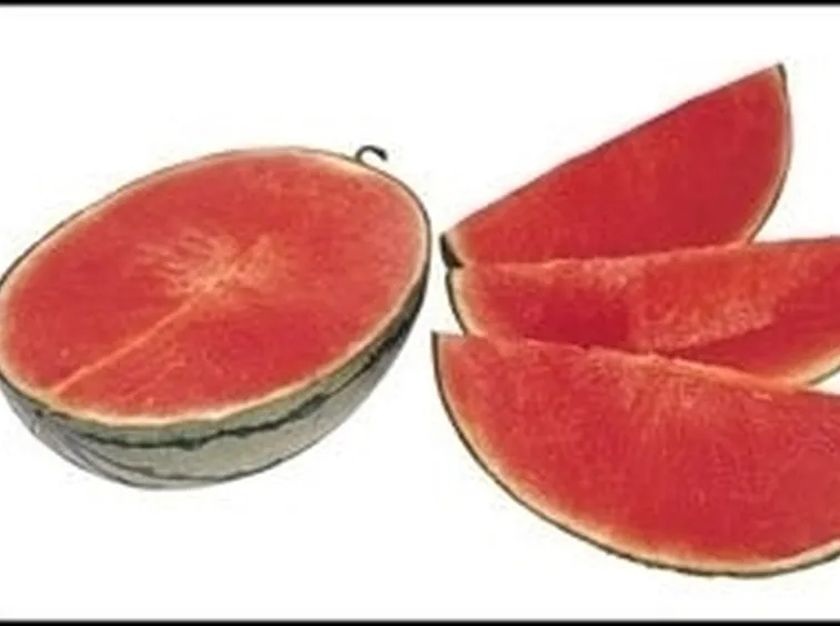 Cocomero-9