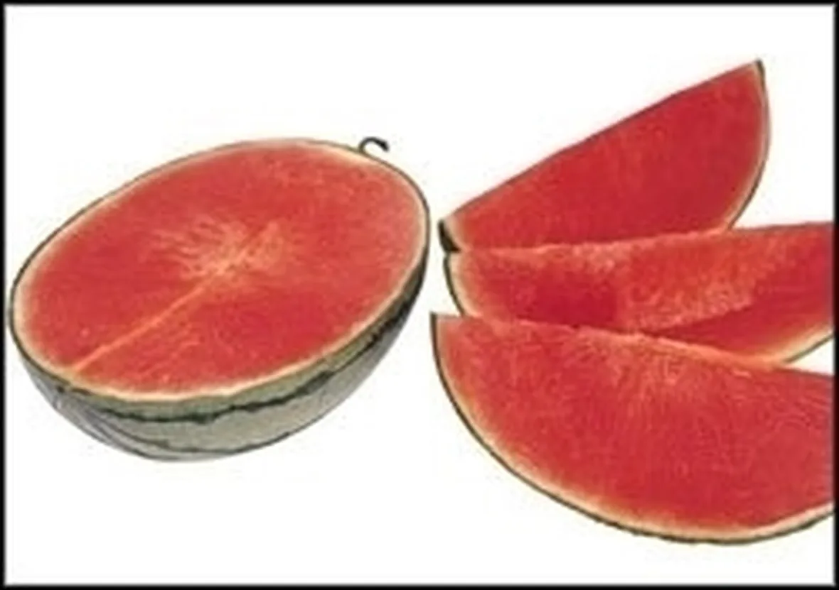 Cocomero-9
