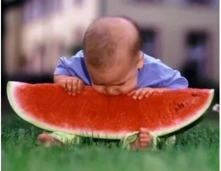 Coltivare il cocomero o anguria