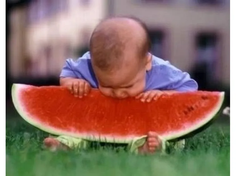 Coltivare il cocomero o anguria