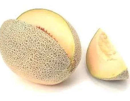 Irrigazione melone