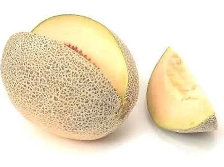 Irrigazione melone