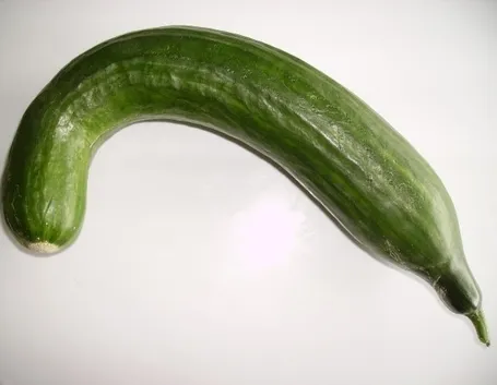 Risposta : cimare cetriolo
