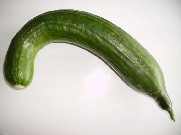 Risposta : cimare cetriolo