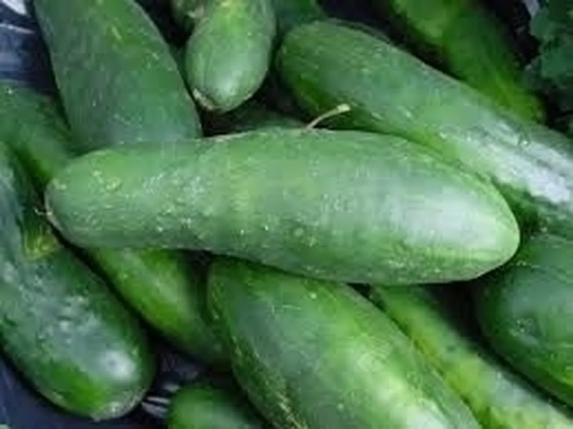 Usi del cetriolo
