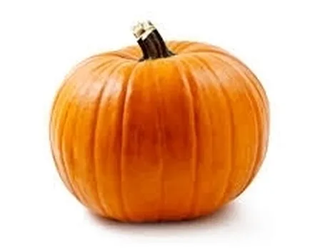 Zucca-5