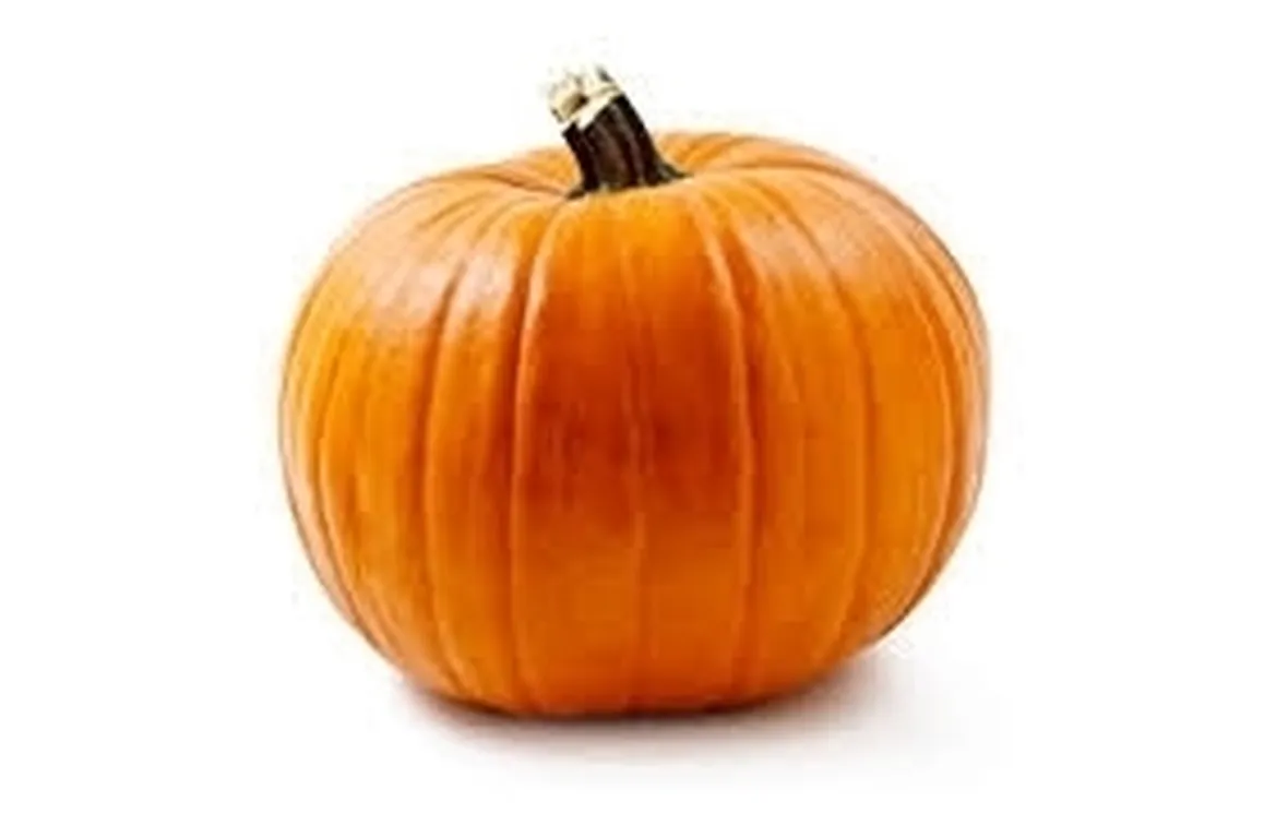 Zucca-5