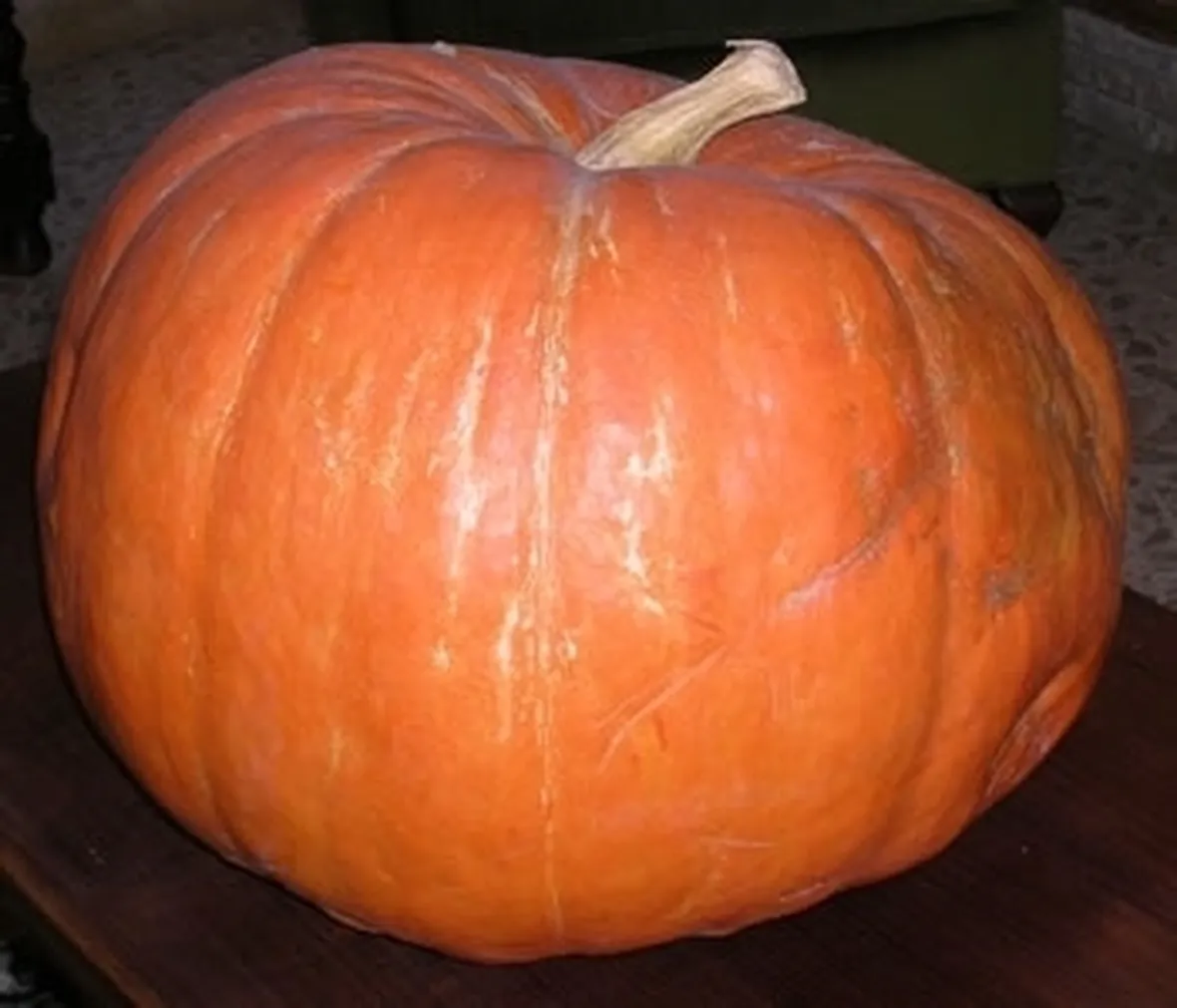 Zucca-6