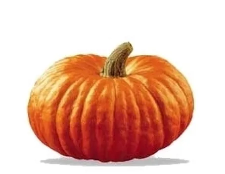 Zucca-7