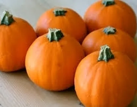 Zucca-9