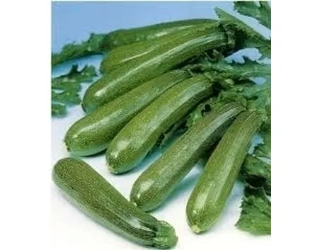 Zucchino-9