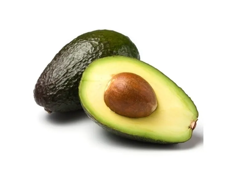 Coltivazione avocado 