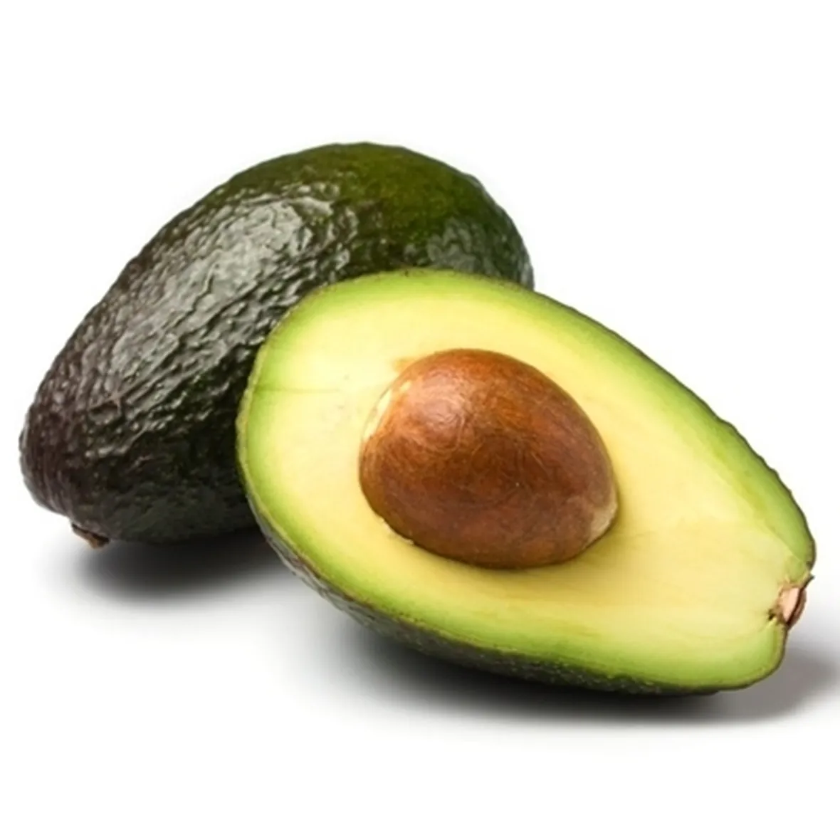 Coltivazione avocado 