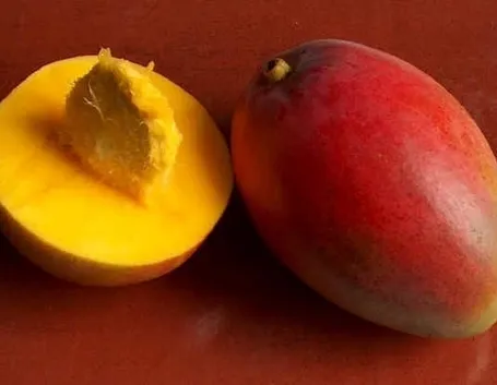 Fiori e frutti