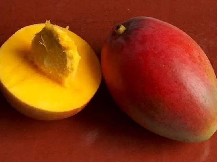 Fiori e frutti