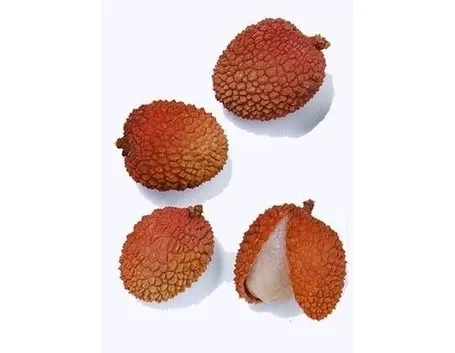 Litchi-7