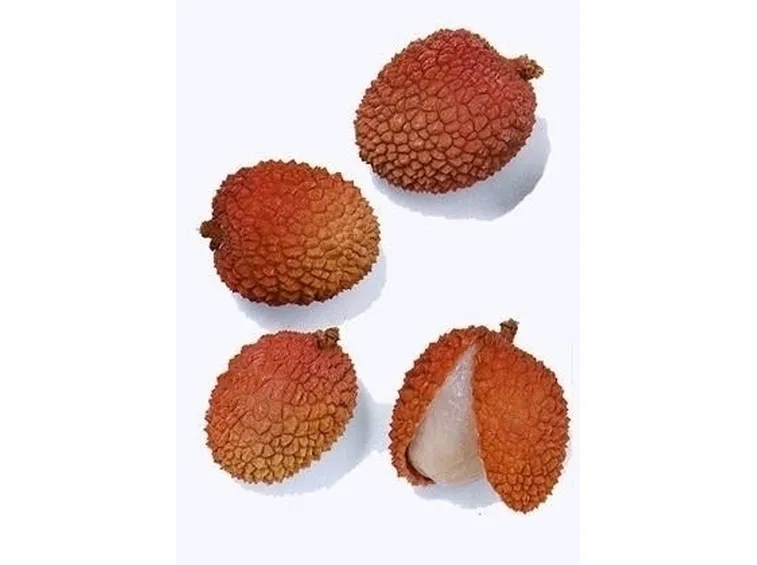 Litchi-7