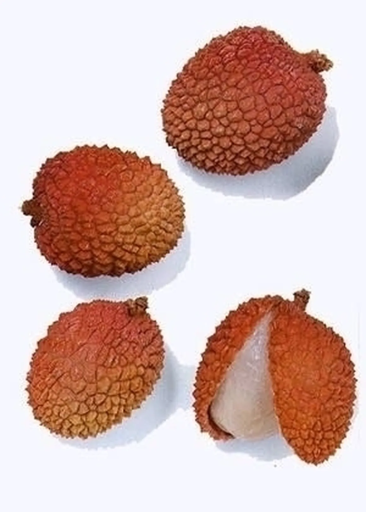 Litchi-7