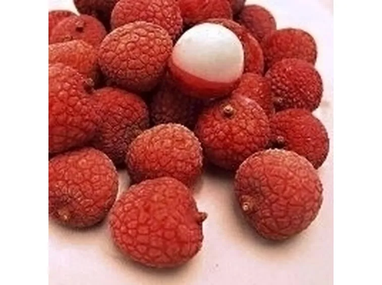Litchi-8