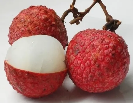 Litchi-9