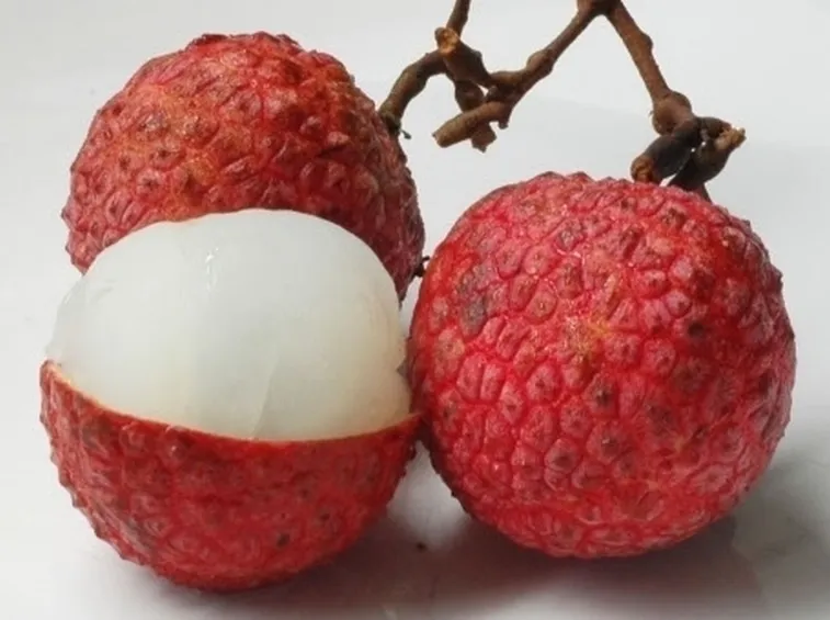 Litchi-9