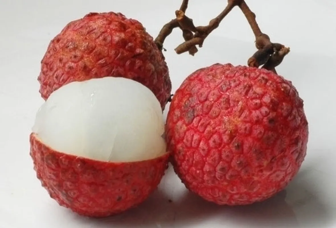 Litchi-9