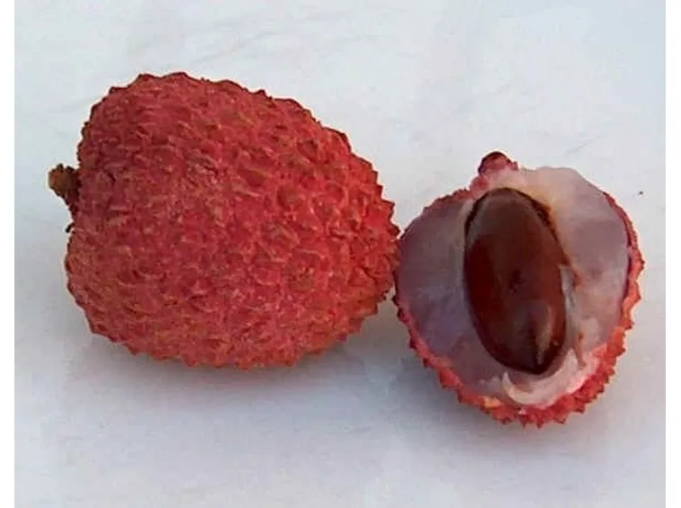 Litchis