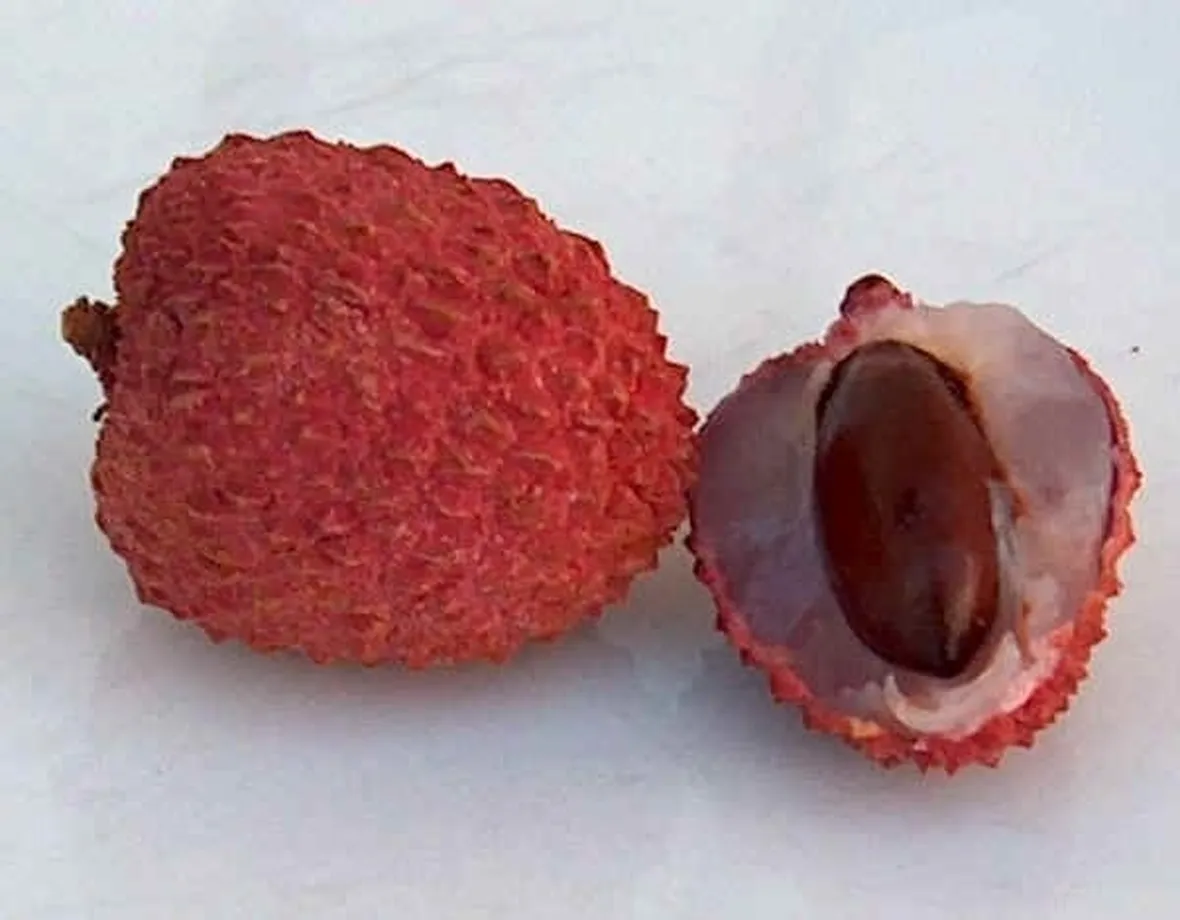 Litchis