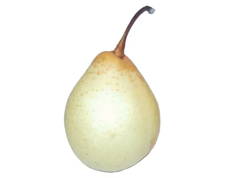 Nashi-2