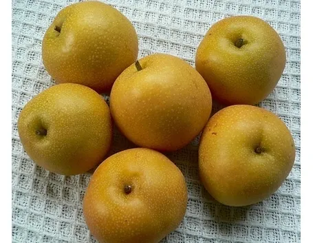 Nashi-3