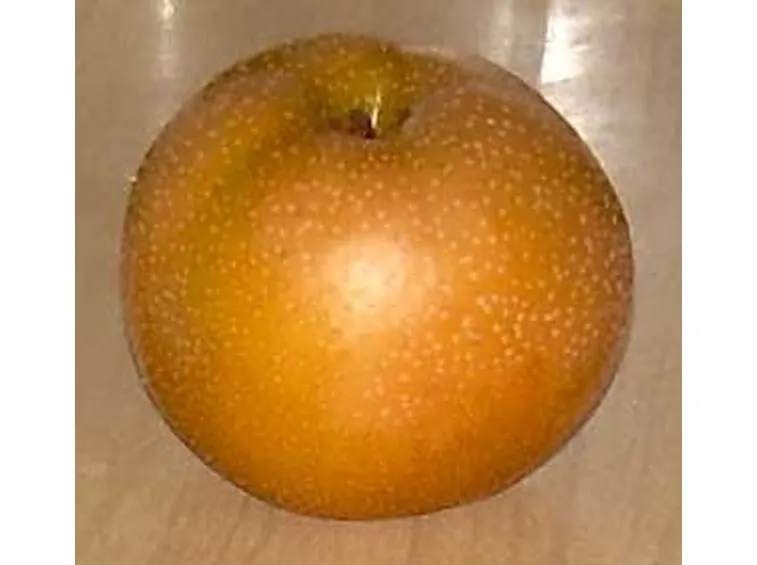 Nashi-7