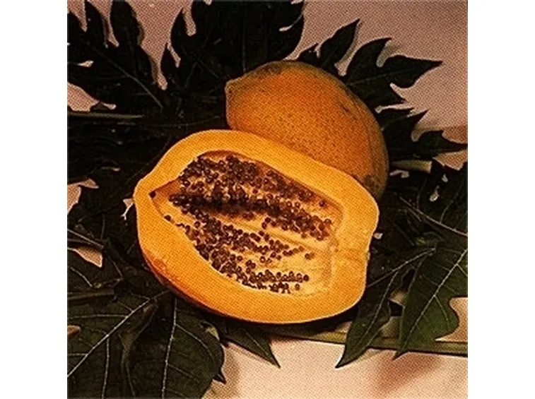 Papaia-3