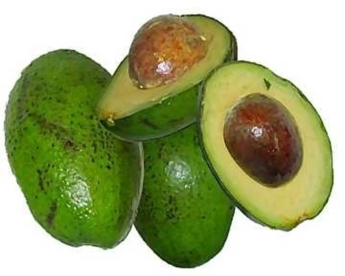 Risposta: avocado 