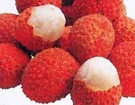 Tiramisù ai litchi e rose