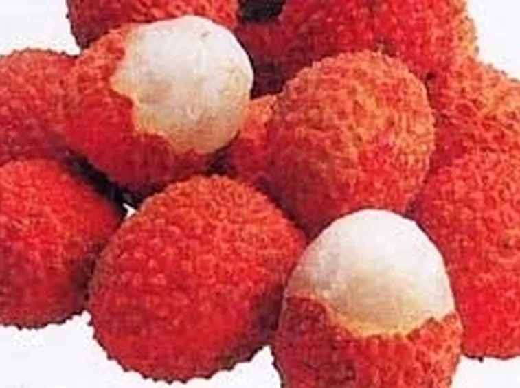 Tiramisù ai litchi e rose