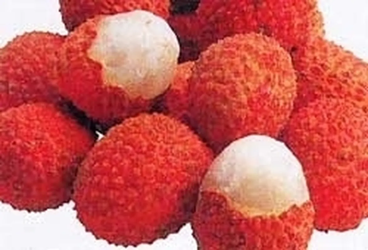 Tiramisù ai litchi e rose