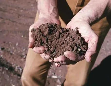 lavori nel orto aprile-1