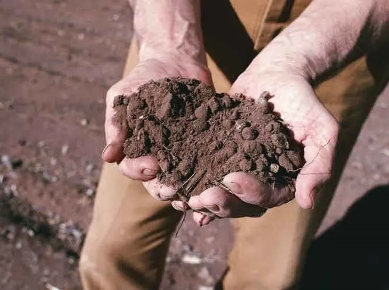 lavori nel orto aprile-1