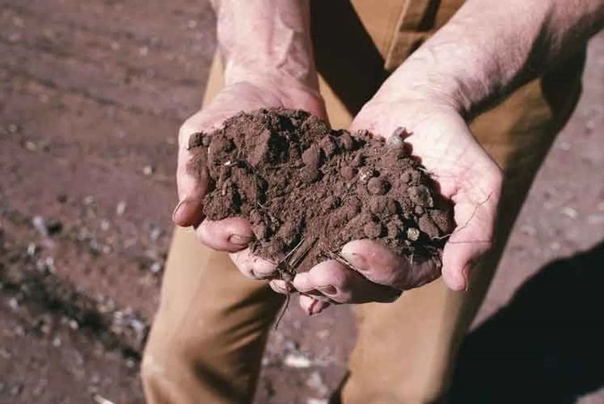 lavori nel orto aprile-1