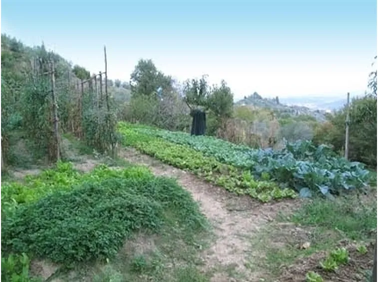 lavori nel orto febbraio-1