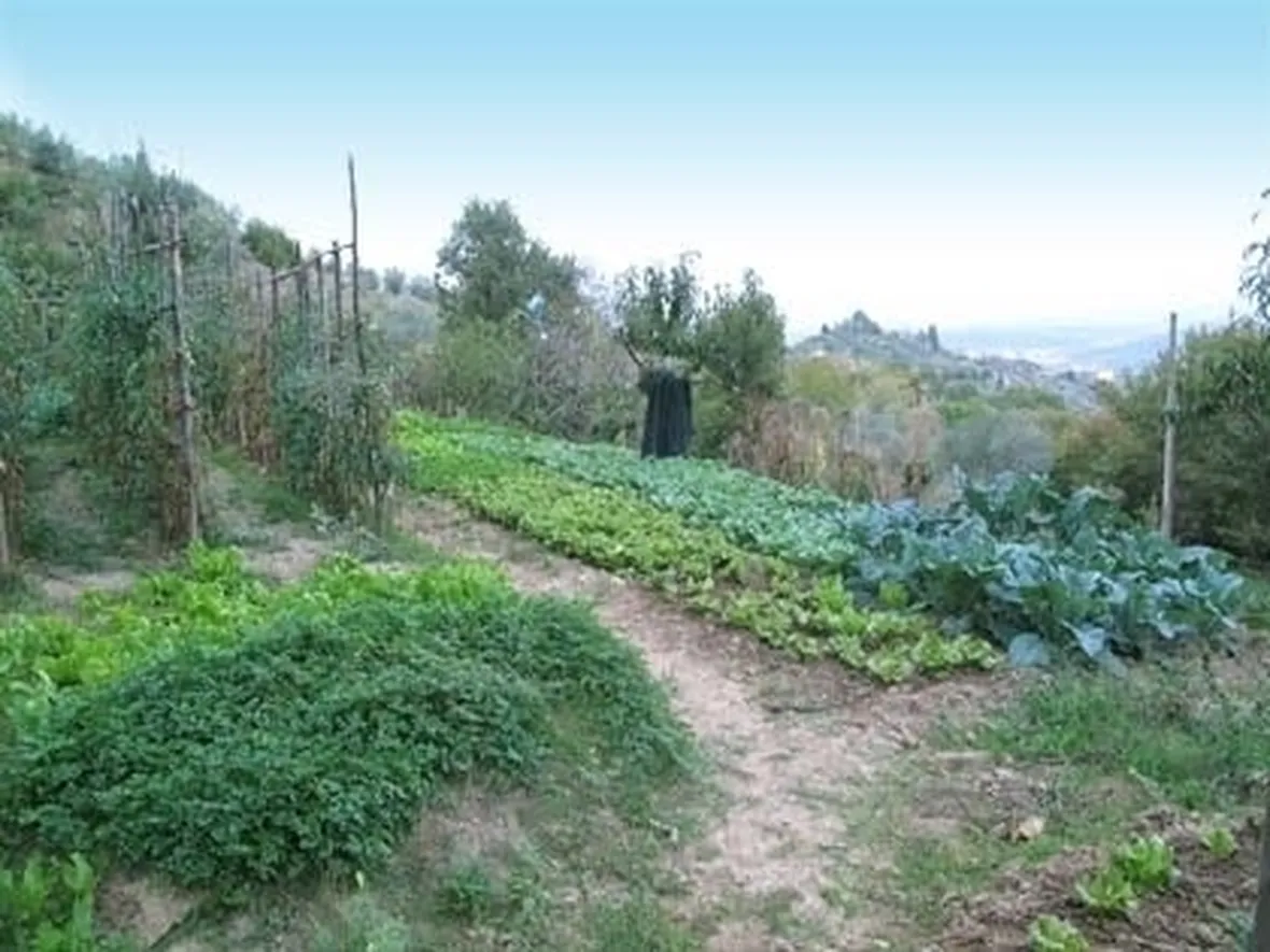 lavori nel orto febbraio-1