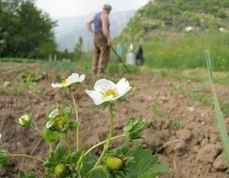 lavori nel orto febbraio-2